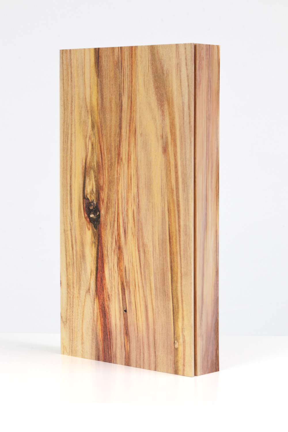 43.2 x 24.1 x 5.1 cm. Binding construction by Daniel Kelm and Leah H 